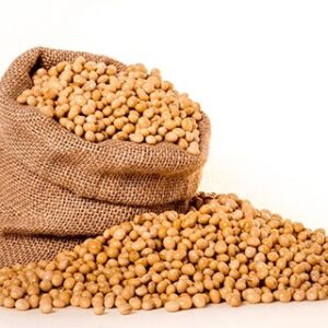 Natural Organic Soybean